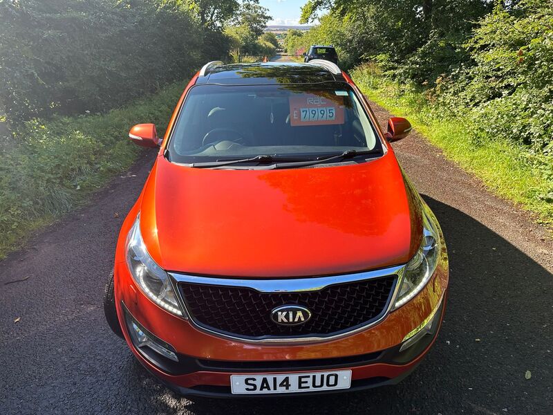 KIA SPORTAGE